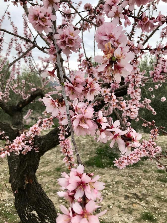 Al-Qandil Guest House Margarida ภายนอก รูปภาพ